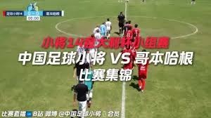 英超老将在世界杯前的精彩回顾